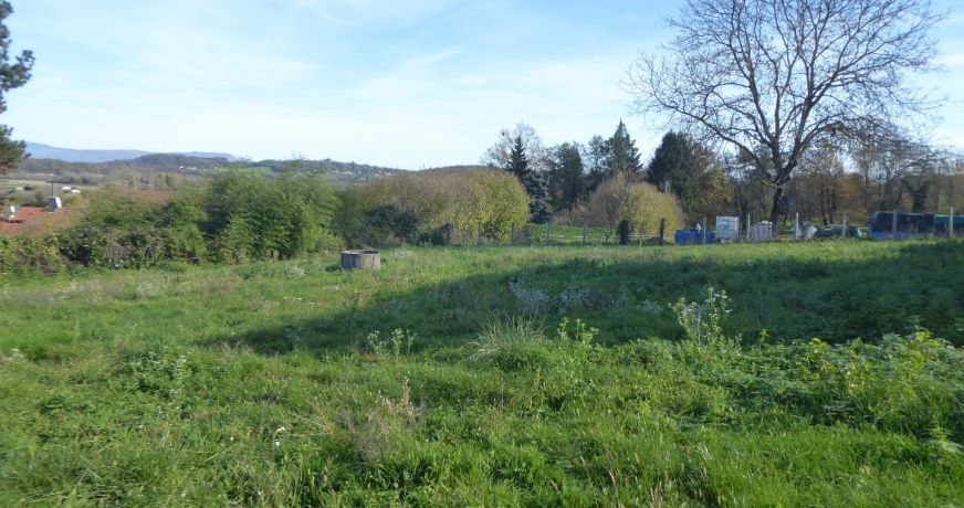 vente Maison individuelle Salagnon