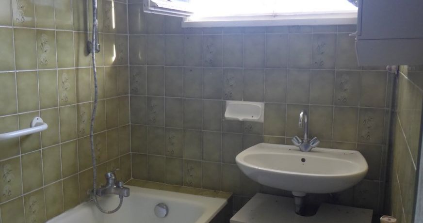 vente Maison individuelle Salagnon