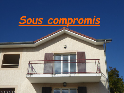 à vendre Appartement Sermerieu