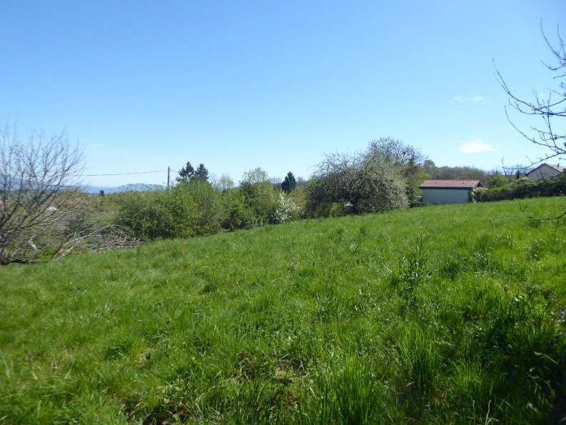vente Terrain constructible Saint Chef - Photo 5