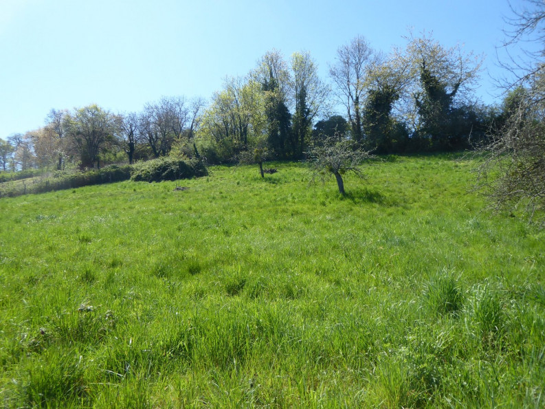 vente Terrain constructible Saint Chef - Photo 2