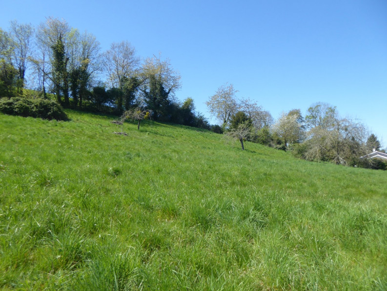 vente Terrain constructible Saint Chef - Photo 4