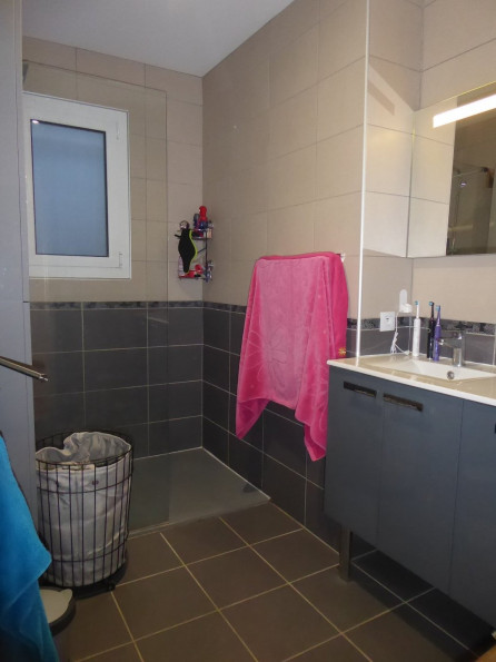 vente Maison individuelle Salagnon - Photo 8