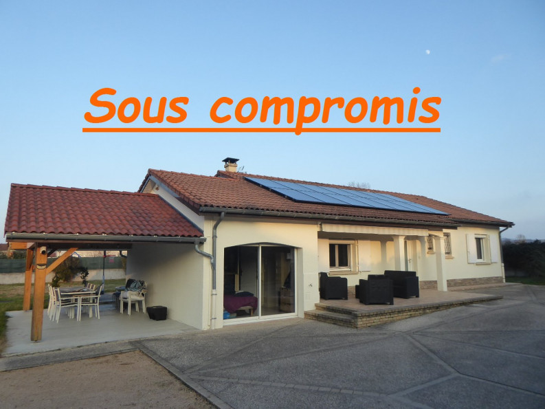 vente Maison individuelle Salagnon - Photo 1