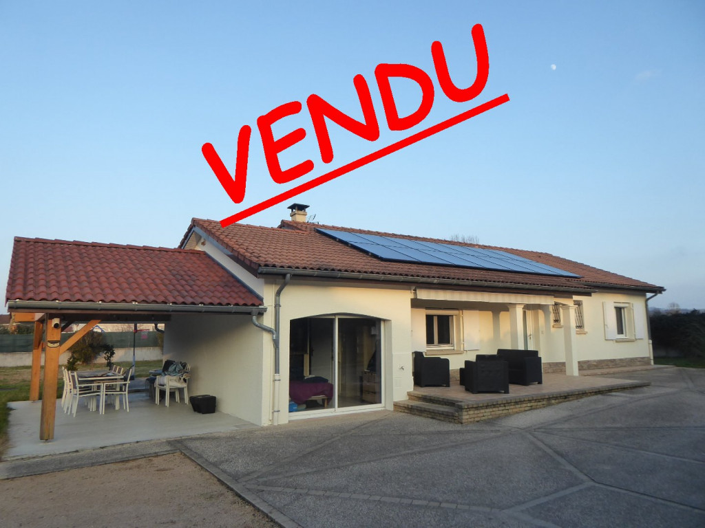 à vendre Maison individuelle Salagnon - Photo 1