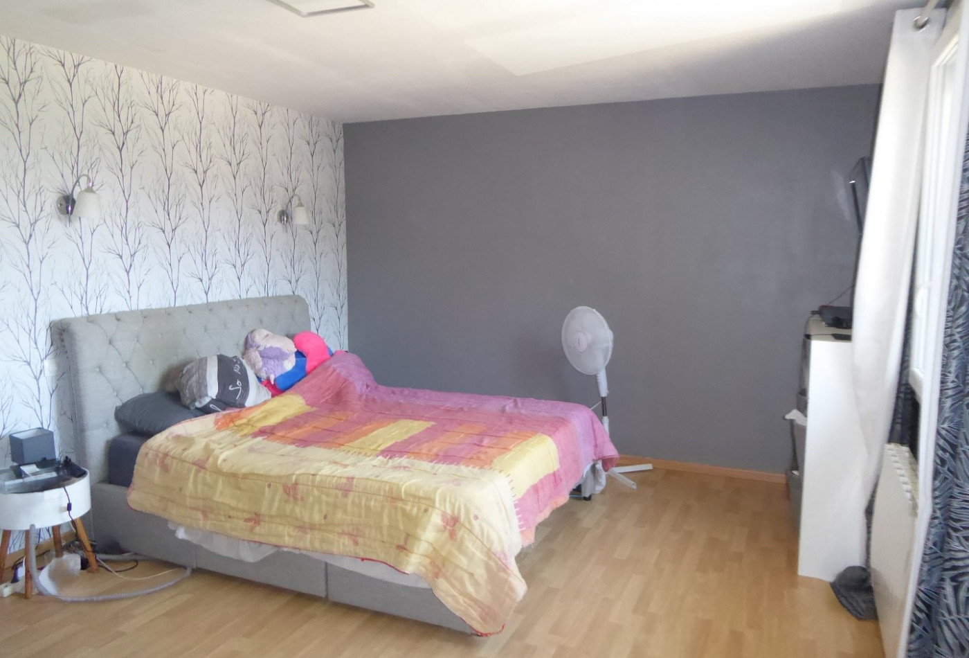 vente Maison individuelle Siccieu Saint Julien Et Carisieu - Photo 9