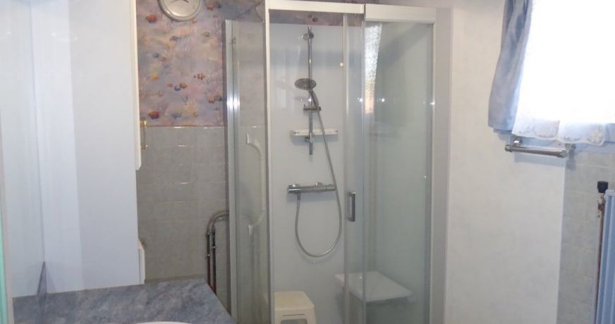 vente Maison individuelle Morestel