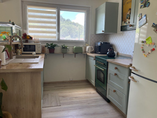 à vendre Maison individuelle Morestel