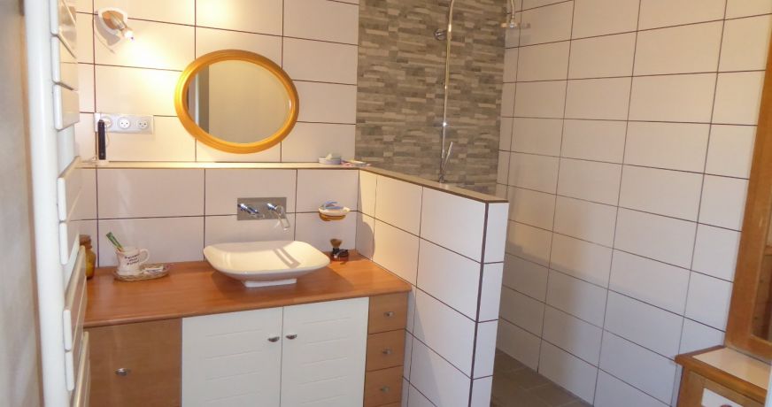 vente Maison individuelle Salagnon