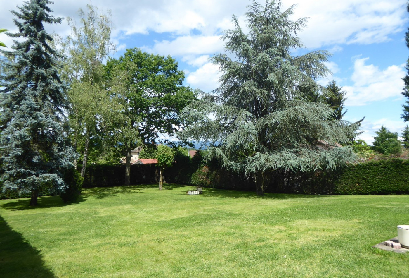 vente Maison individuelle Salagnon - Photo 4
