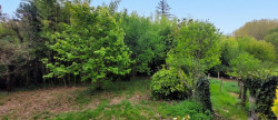 vente Maison Charvieu Chavagneux