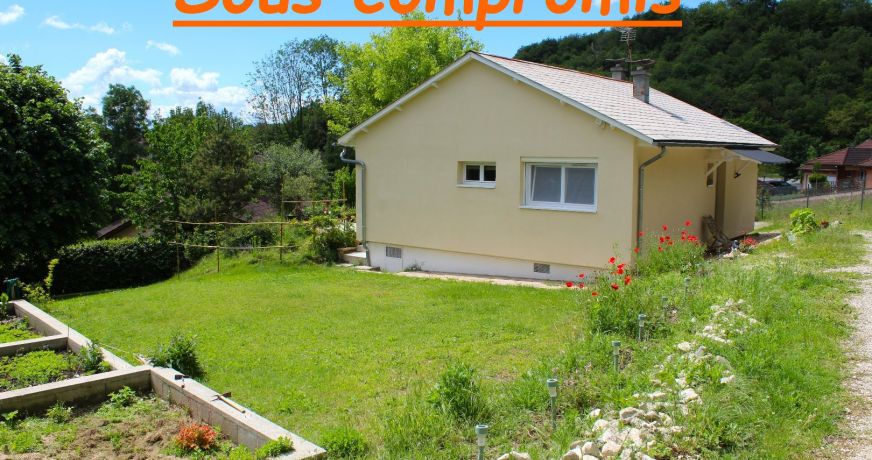 vente Maison individuelle Creys Mepieu