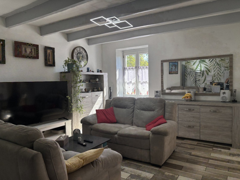 vente Maison individuelle Morestel - Photo 4