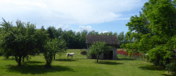 vente Maison individuelle Salagnon