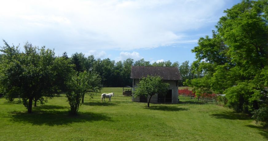 vente Maison individuelle Salagnon