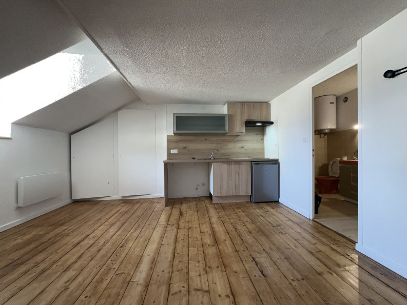 à louer Appartement rénové Grenoble - Photo 3