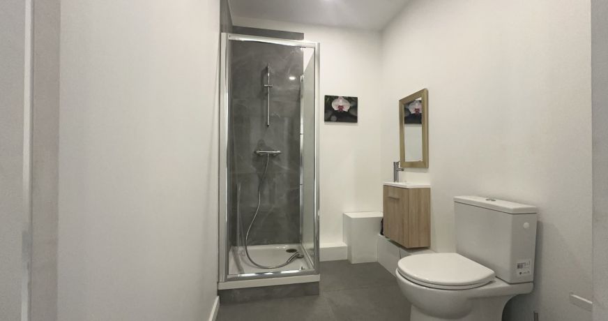 location Local commercial Voreppe