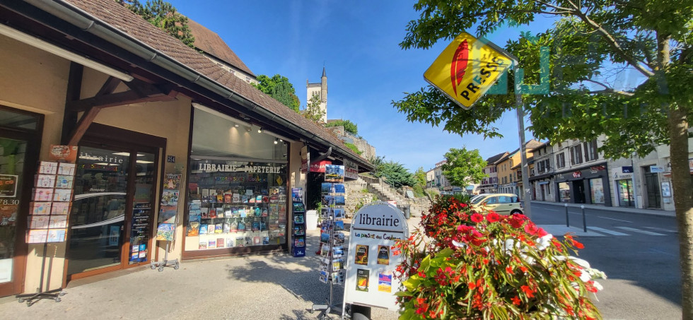 vente Librairie   presse Morestel