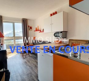 A vendre Chateau Bernard 380381448 Immo sud plus