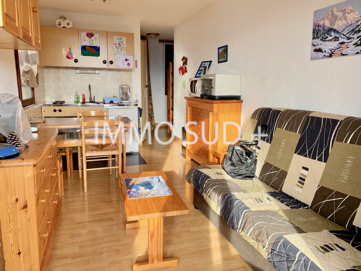 vente Studio Chateau Bernard - Photo 1