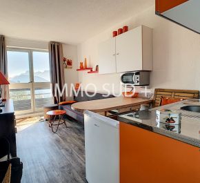 A vendre Chateau Bernard 38038162 Immo sud plus