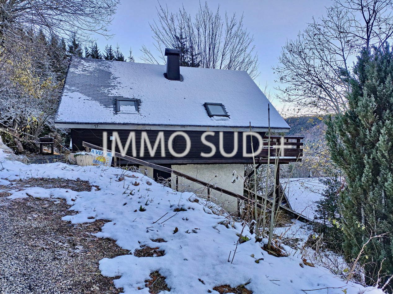 vente Chalet Chateau Bernard - Photo 1