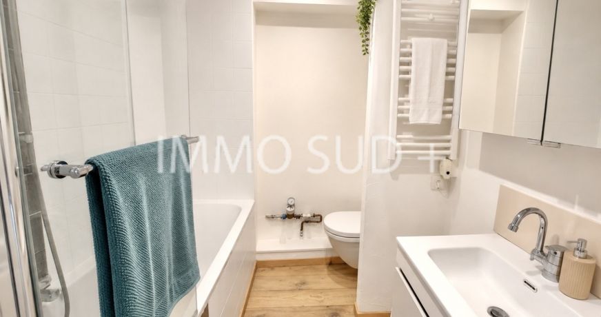 vente Appartement Vizille