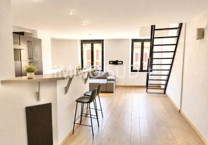vente Appartement Vizille
