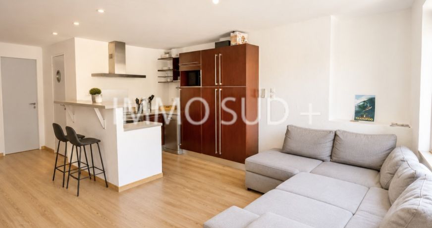 vente Appartement Vizille