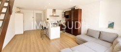 vente Appartement Vizille