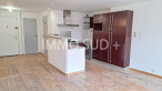 vente Appartement Vizille