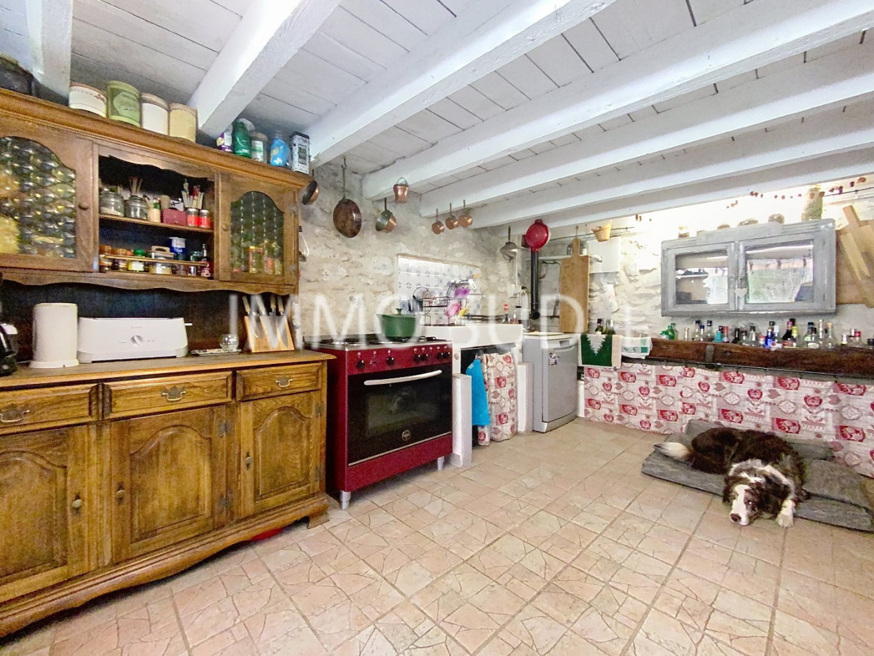 vente Maison Entraigues - Photo 4