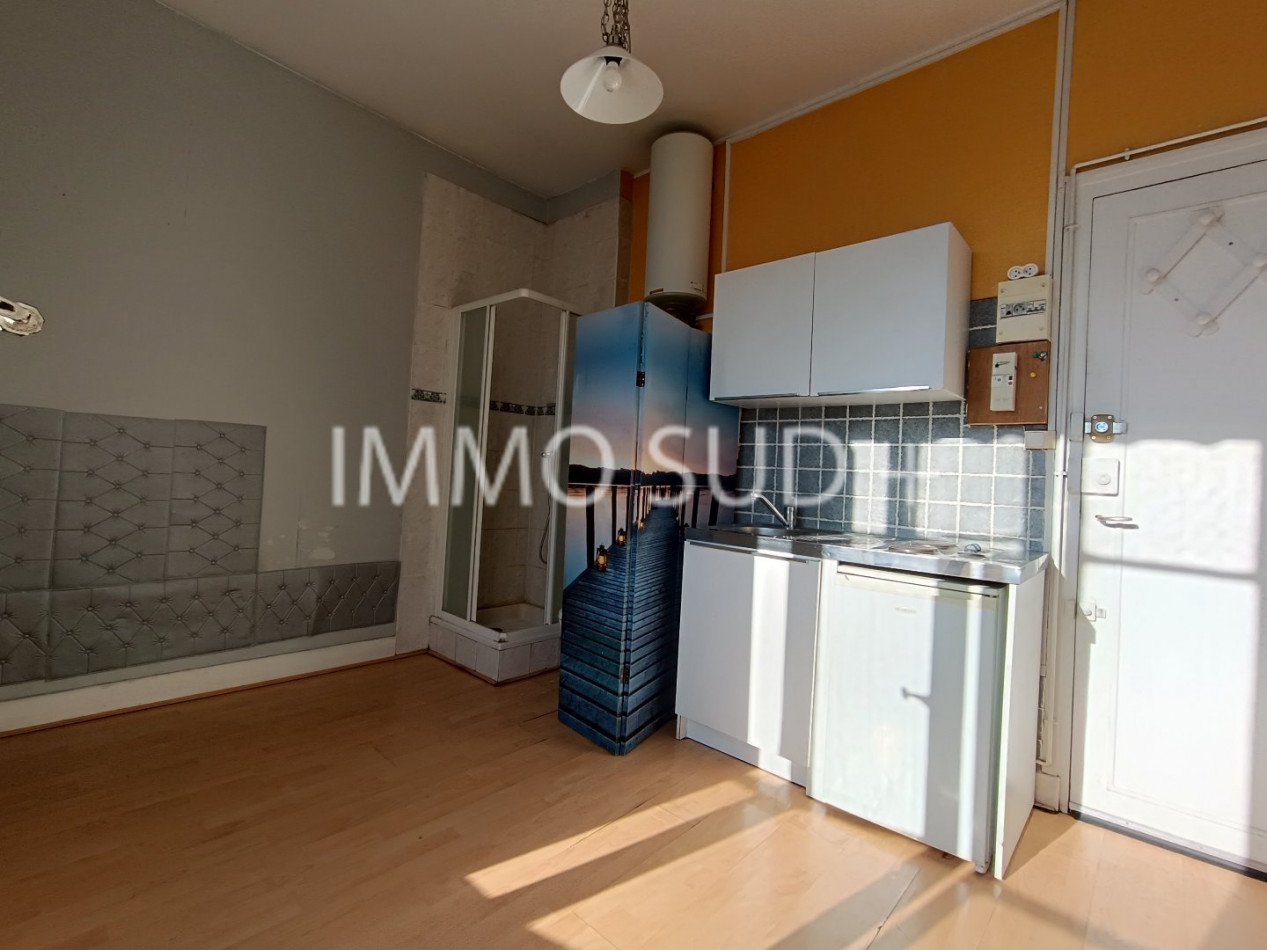 vente Appartement Grenoble - Photo 3