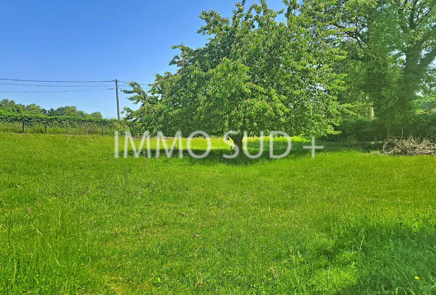 vente Terrain Champier - Photo 1