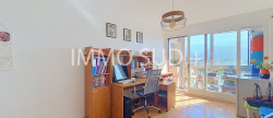 vente Appartement Grenoble