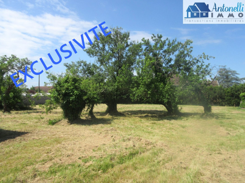 à vendre Terrain Morestel - Photo 3