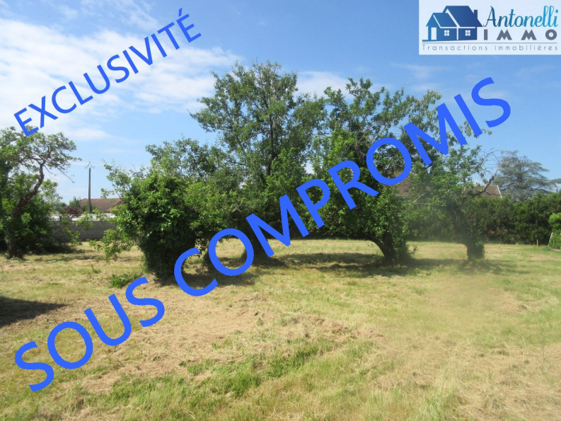 vente Terrain Morestel - Photo 1