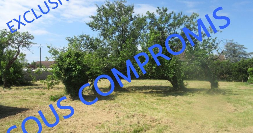 vente Terrain Morestel