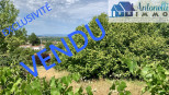 vente Terrain Saint Alban De Roche