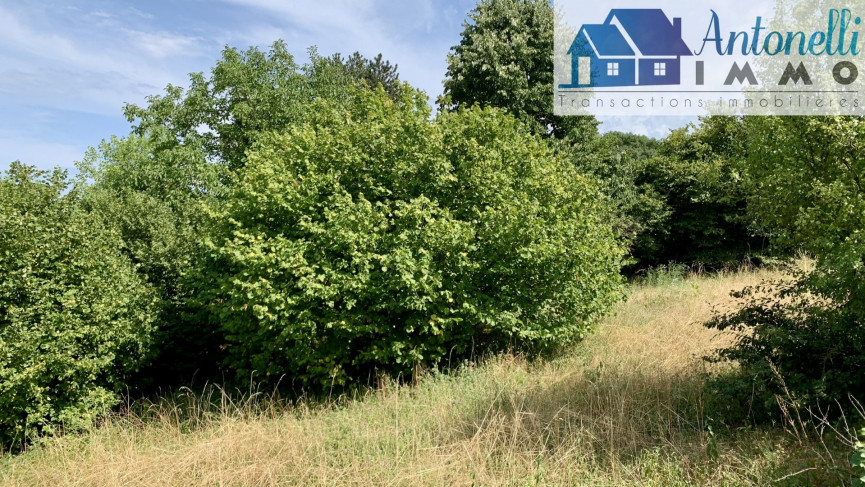 à vendre Terrain Saint Alban De Roche - Photo 4