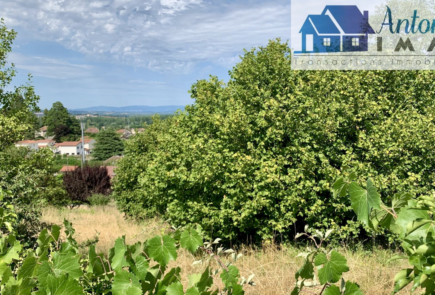 vente Terrain Saint Alban De Roche - Photo 2