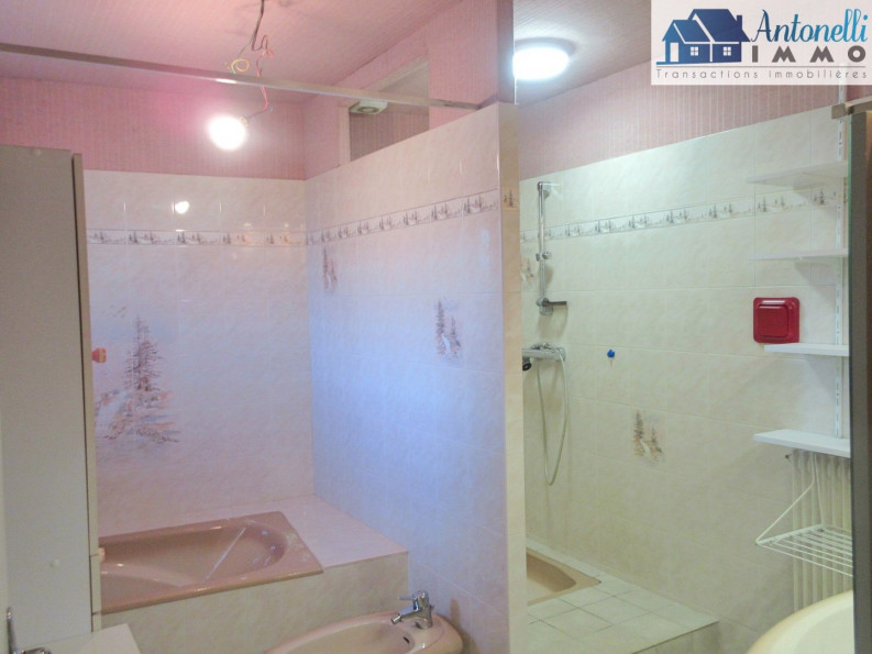 à vendre Maison et dépendances Morestel - Photo 9