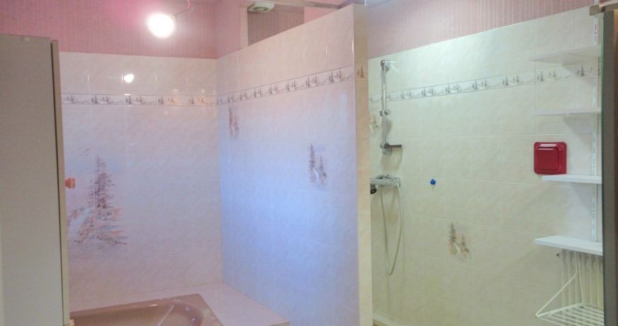 vente Maison et dépendances Morestel