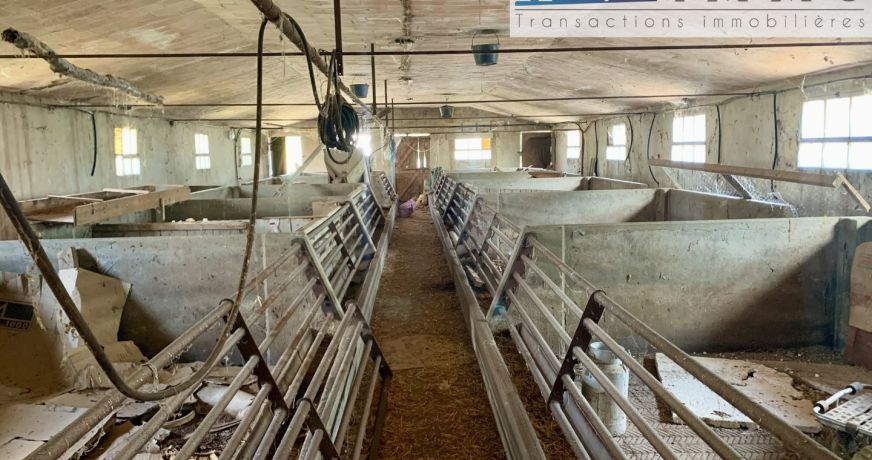 vente Terrain agricole Annoisin Chatelans