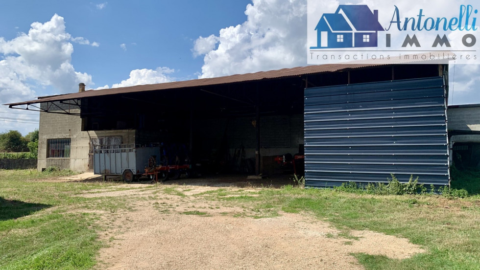 vente Terrain agricole Annoisin Chatelans - Photo 6