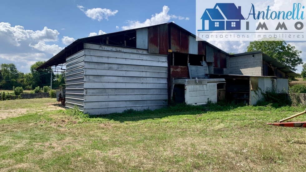 vente Terrain agricole Annoisin Chatelans - Photo 9