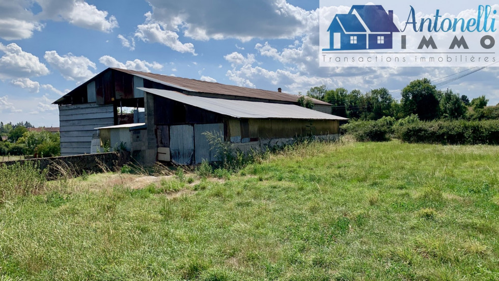 vente Terrain agricole Annoisin Chatelans - Photo 8