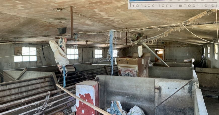 vente Terrain agricole Annoisin Chatelans