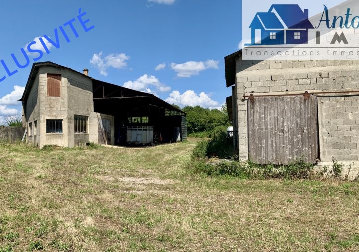à vendre Terrain agricole Annoisin Chatelans
