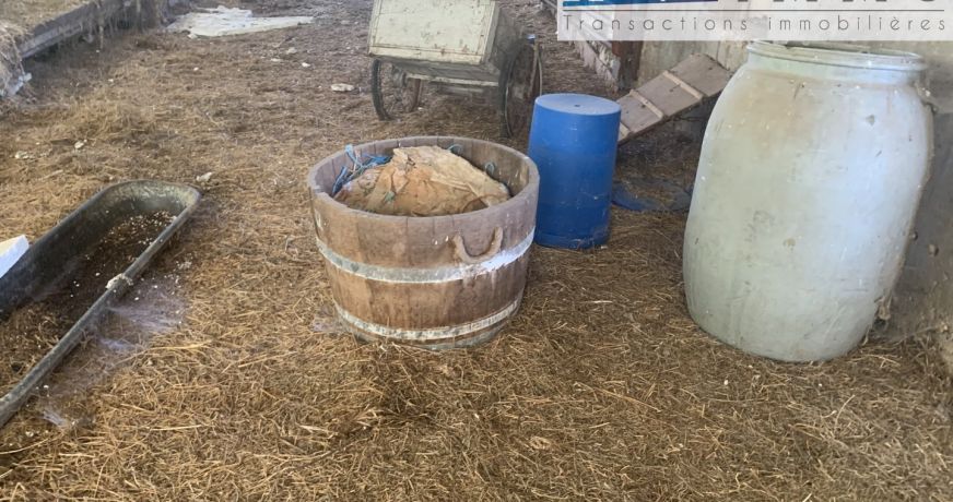 vente Terrain agricole Annoisin Chatelans